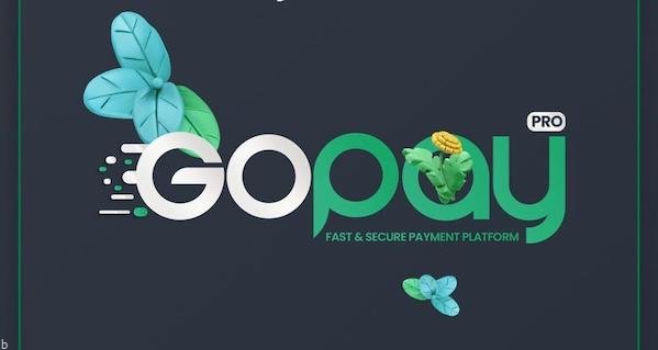 همه چیز در مورد گو پی پرو | امن ترین درگاه پرداخت GoPayPro (آموزش رایگان)